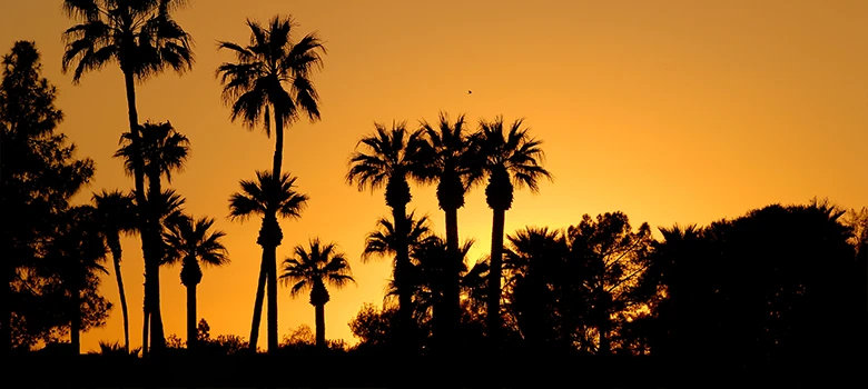 lost angels environment sky orange enviroment